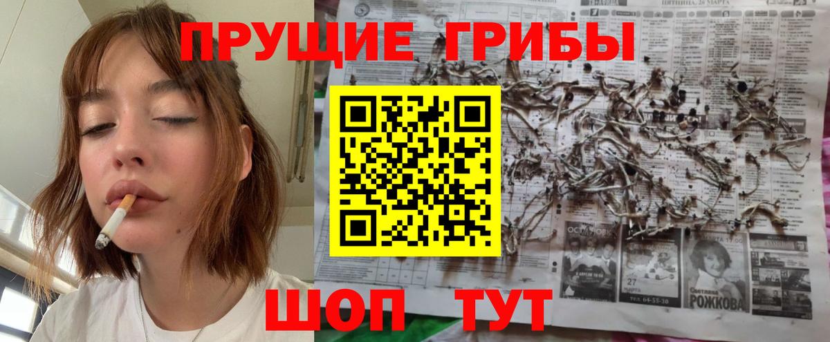 Галлюциногенные грибы прущие грибы Соль-Илецк